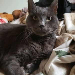 Meet your Posher, Valerie